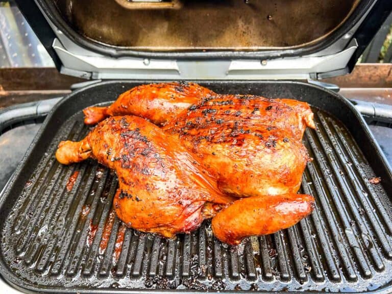 Ninja Woodfire Grill Smoky Whole Chicken