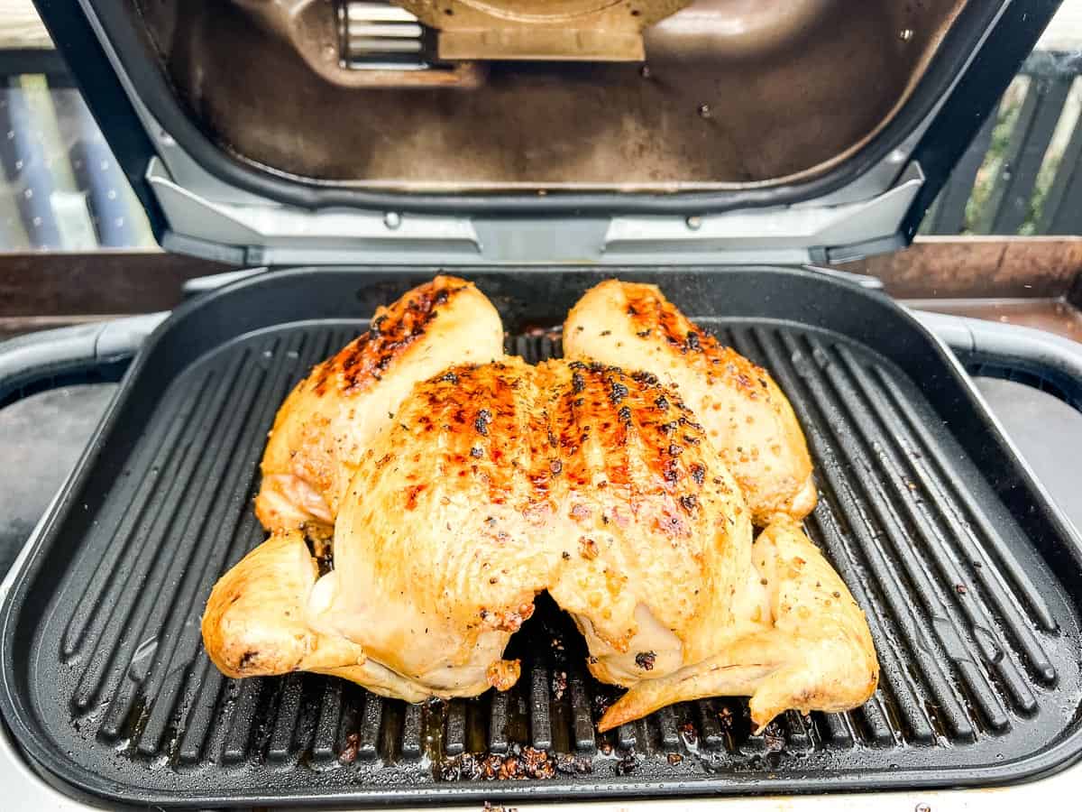 Ninja Woodfire Grill Smoky Whole Chicken Grill What You Love