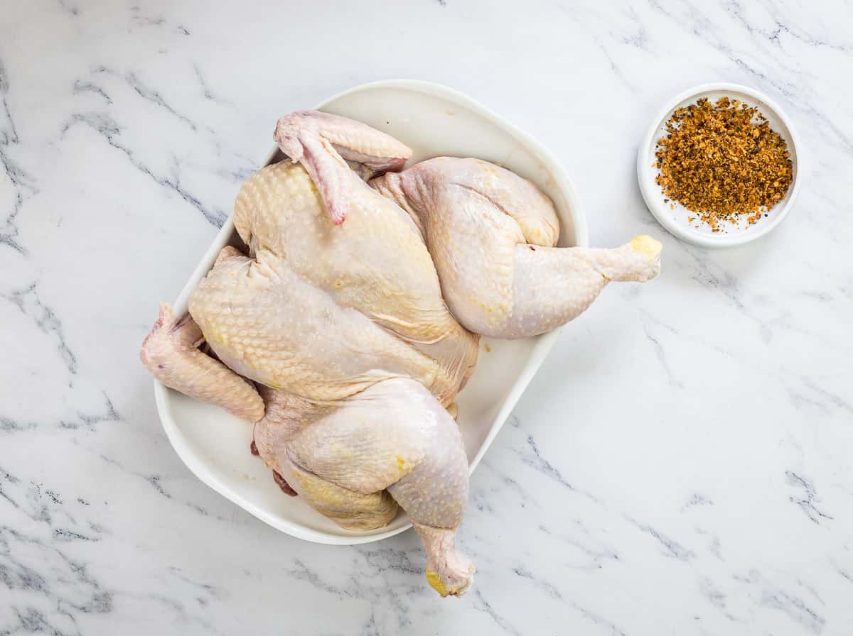 Ninja Woodfire Grill Smoky Whole Chicken - Grill What You Love